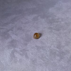 Grenat Spessartite Naturel 2.79 ct